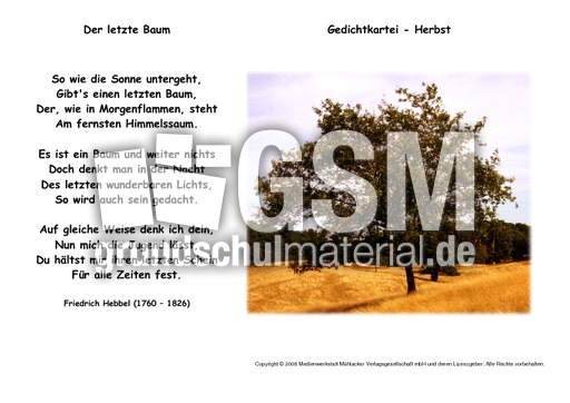 Der-letzte-Baum-Hebbel.pdf